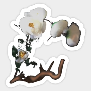 White flower in focus Sticker
